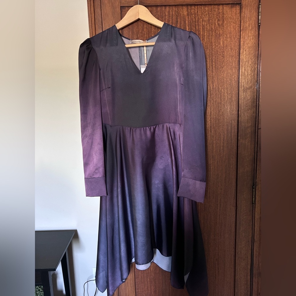 Rinascimento Purple Long Sleeve Dress